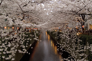 Osaki (Tokyo)