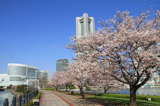 Yokohama