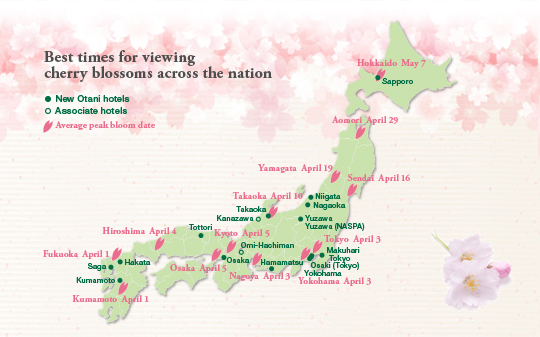 Best times for viewing cherry blossoms across the nation 
