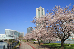 Yokohama