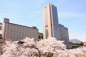 Yuzawa