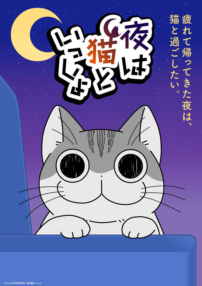 アニメ『夜は猫といっしょ』とは