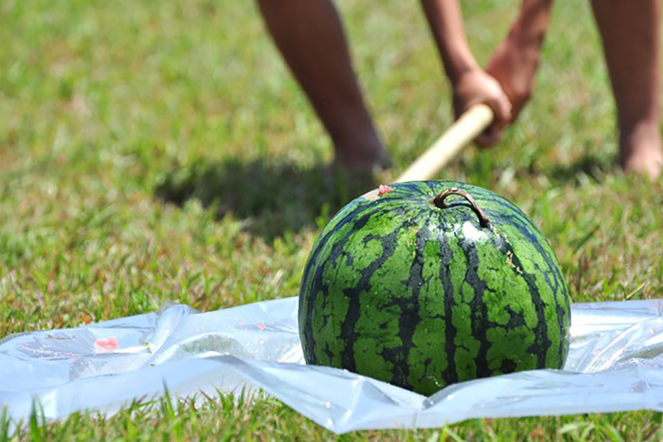 Watermelon Splitting