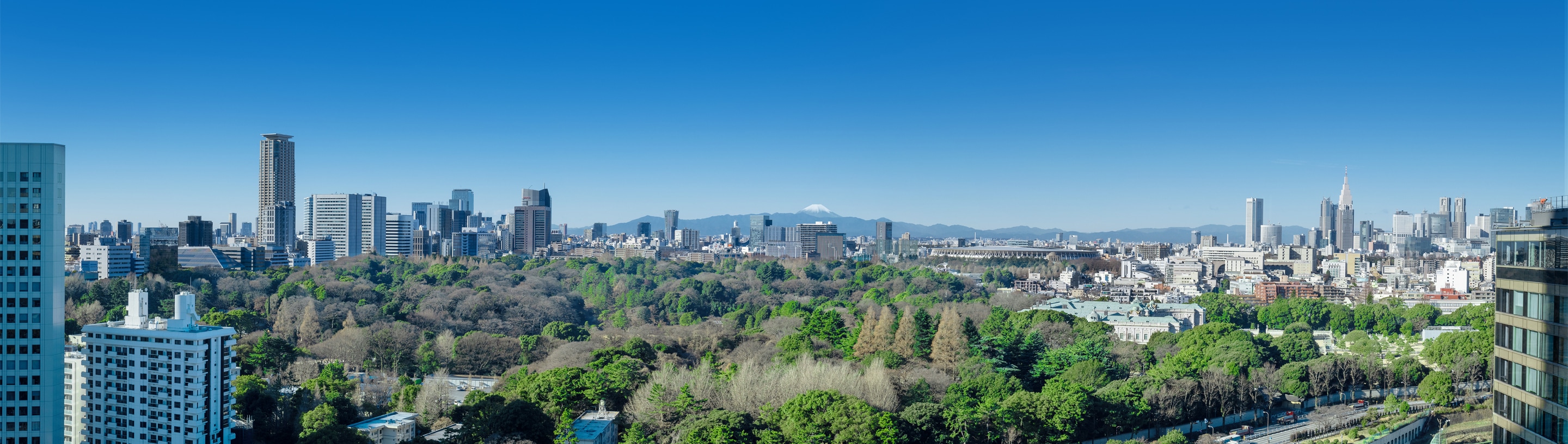 富士山や新宿ビル群を望む景色写真