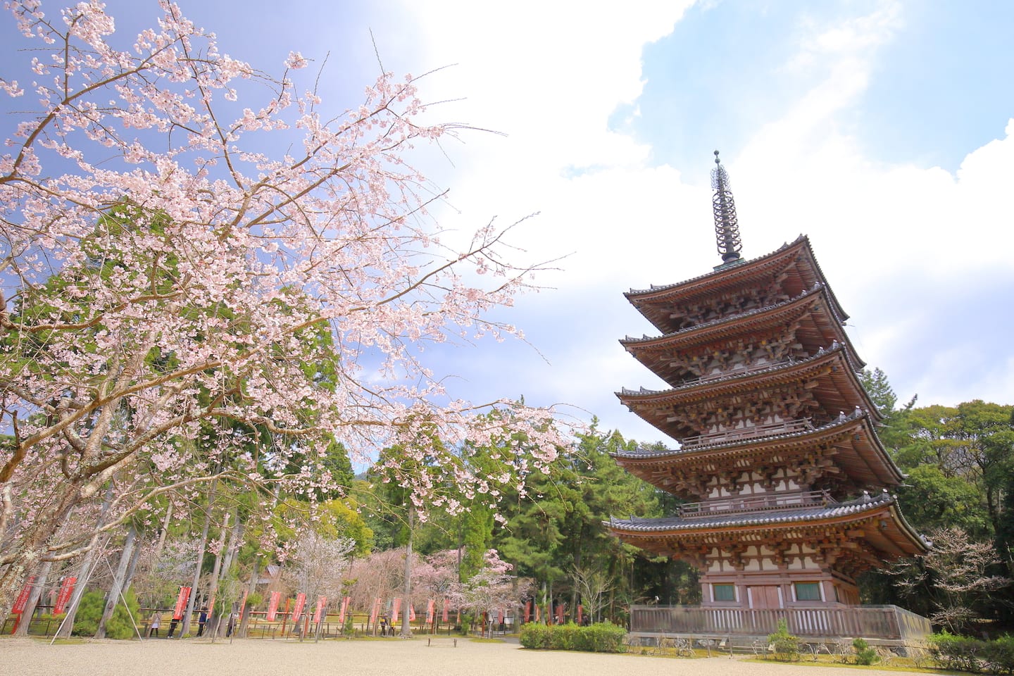 Convenient Bus travels to Kyoto