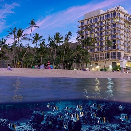 Hawaii’s Award-winning Breakfast