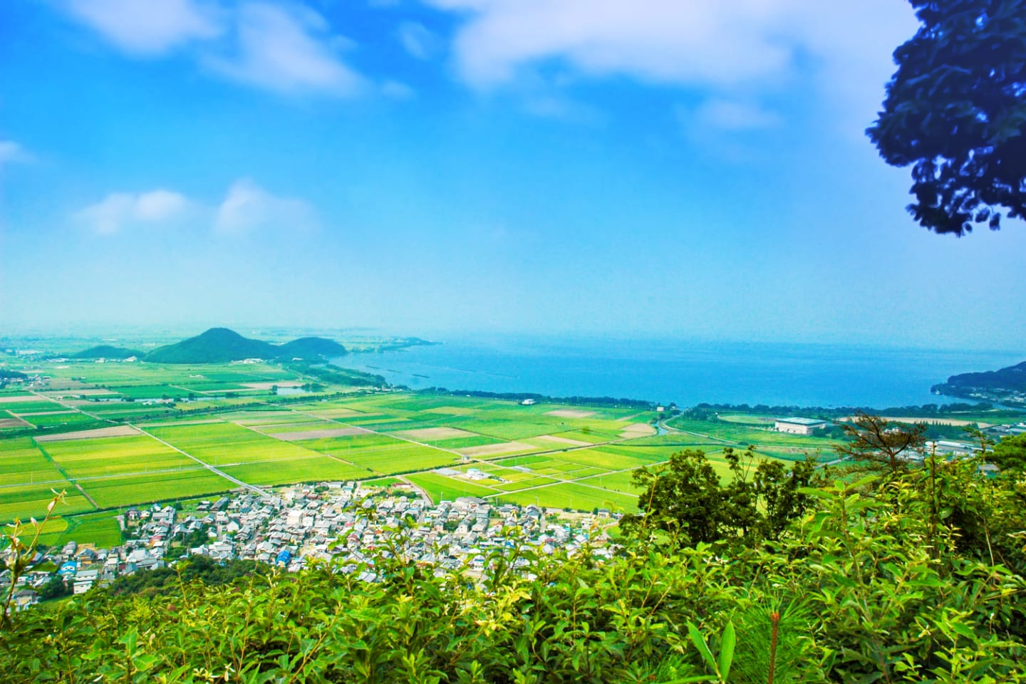 八幡山頂上から見たびわ湖