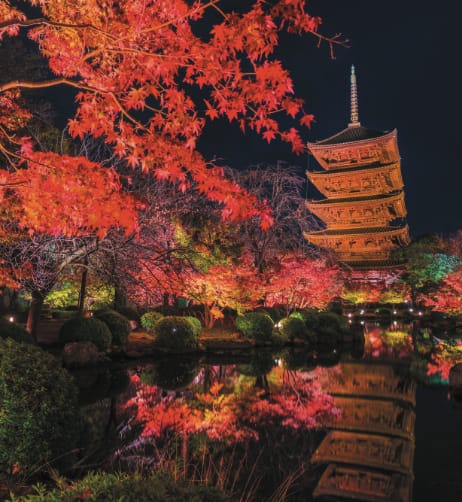 紅葉の美しい京都への観光はホテルニューオータニ大阪が便利です。