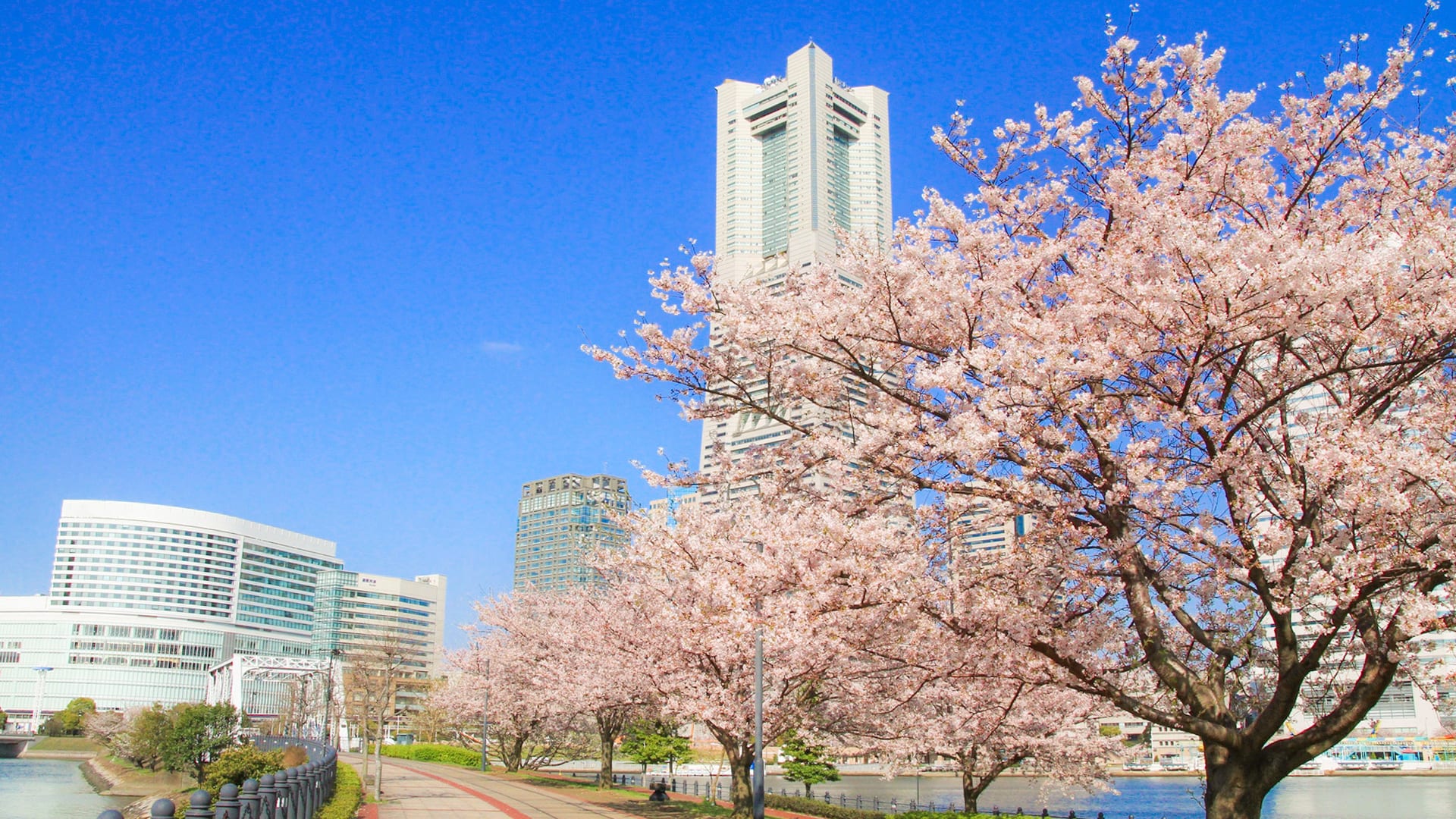 SEASONAL OFFERS FROM NEW OTANI HOTELS