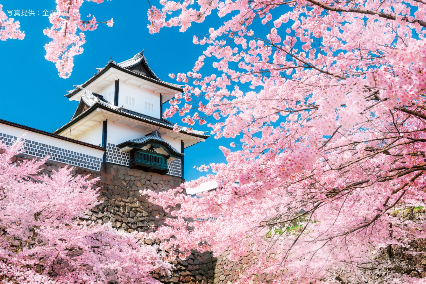 [ 金沢 ] 金沢ニューグランドホテル お花見プラン（豪華お花見弁当付）