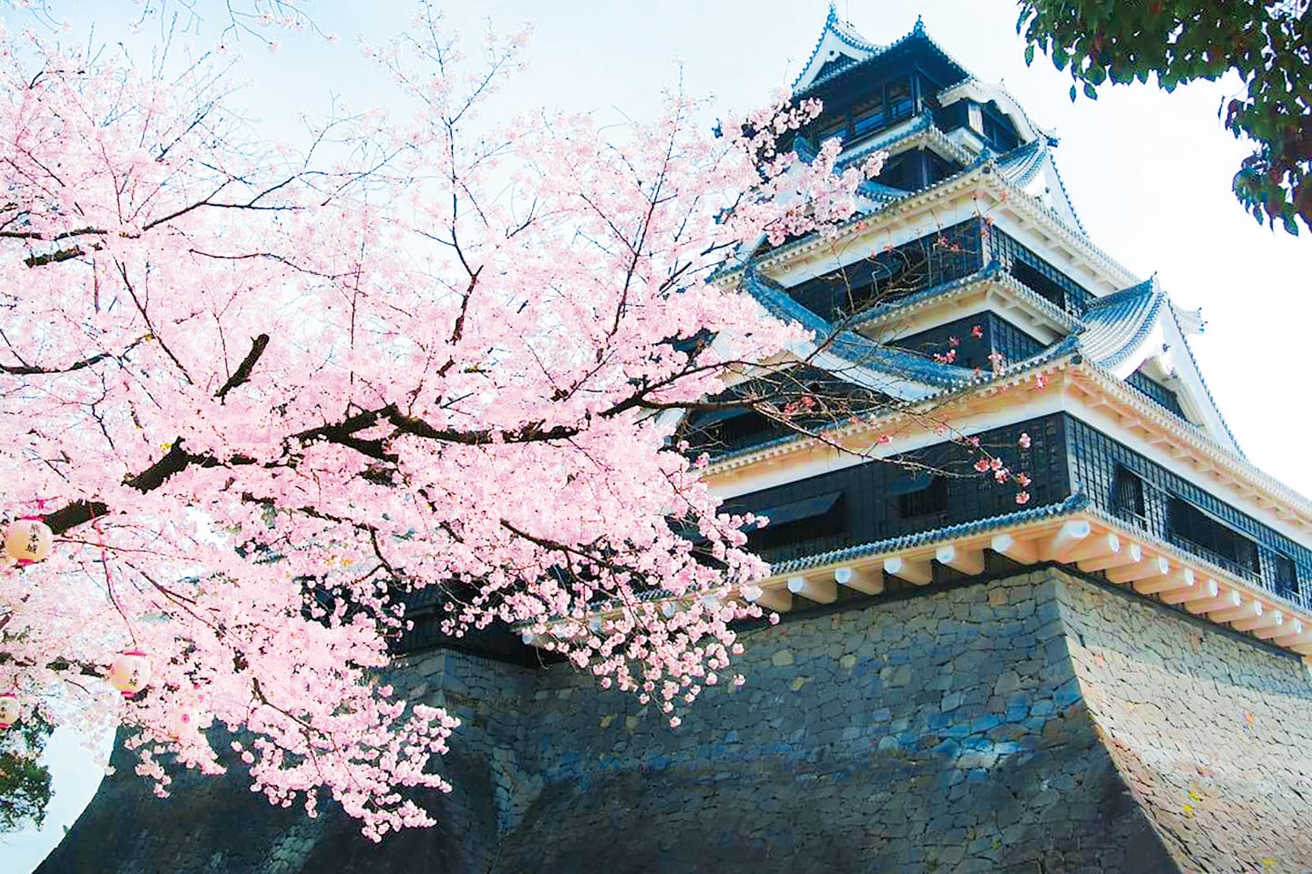 [ 熊本 ] ザ・ニュー ホテル 熊本 〜SAKURA〜春の香りの観桜プラン