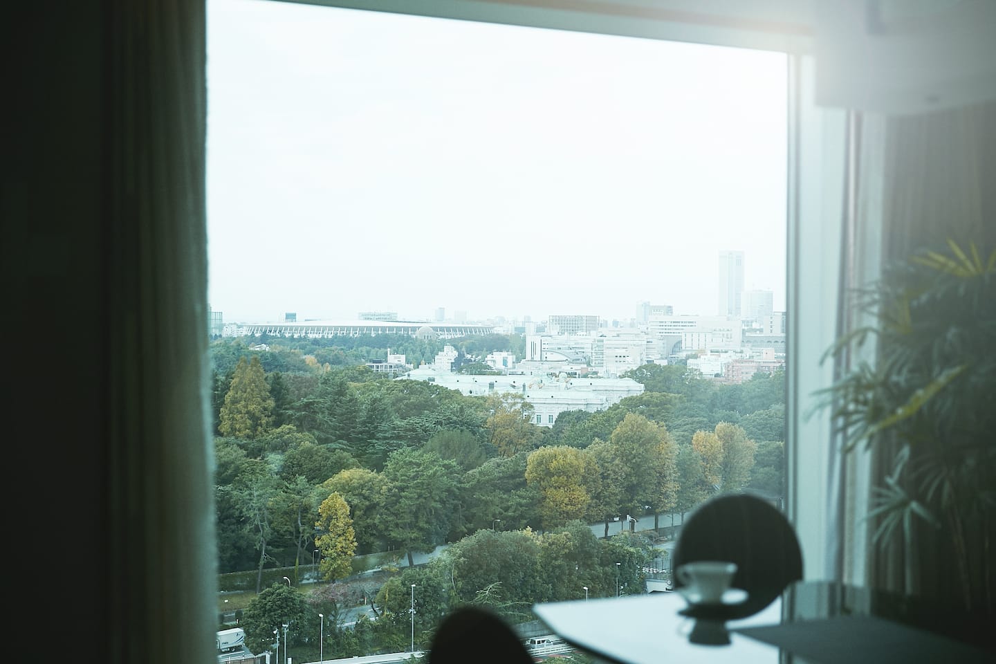 エグゼクティブ ガーデンスイートからの景色