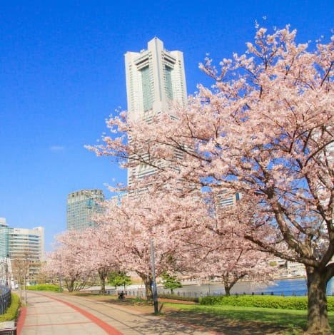 SEASONAL OFFERS FROM NEW OTANI HOTELS