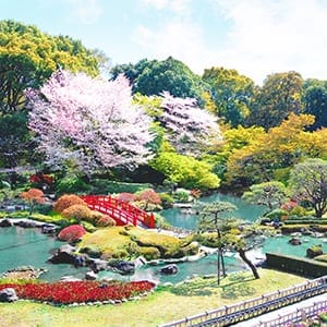 桜が咲き誇る１万坪の日本庭園