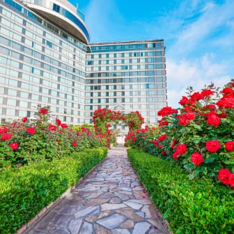 RED ROSE GARDEN