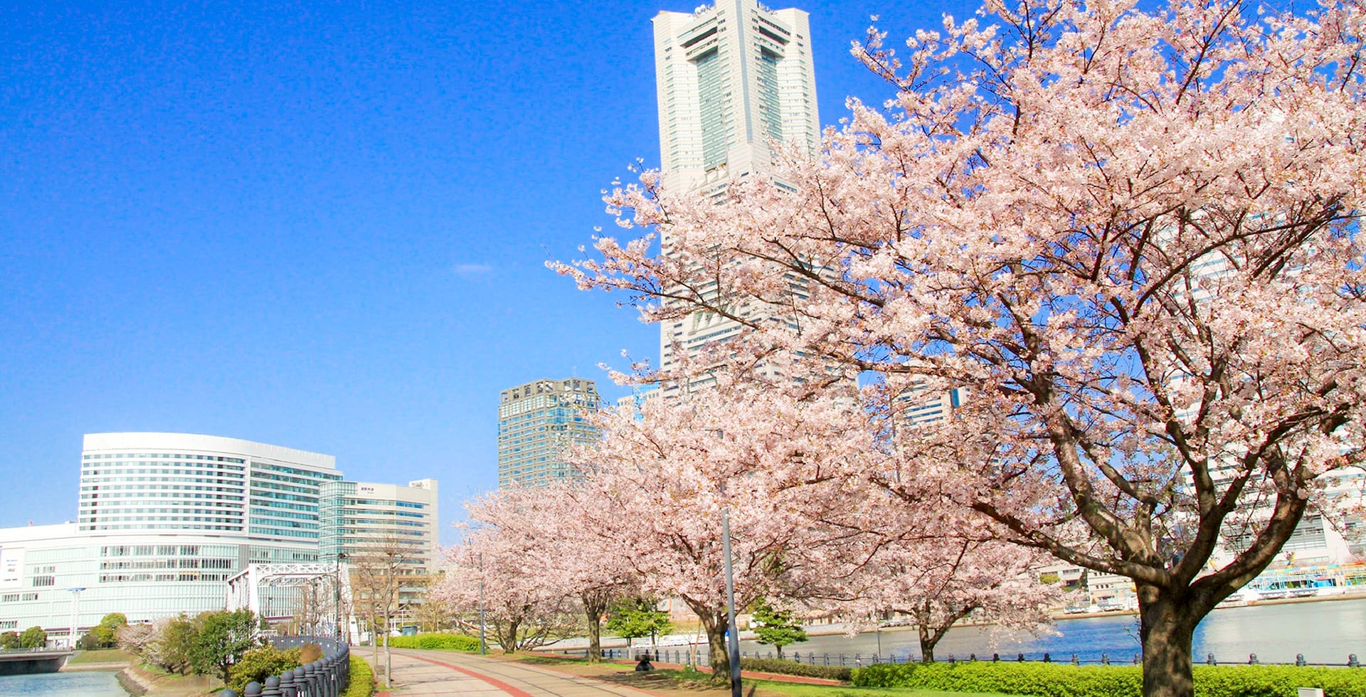 SEASONAL OFFERS FROM NEW OTANI HOTELS