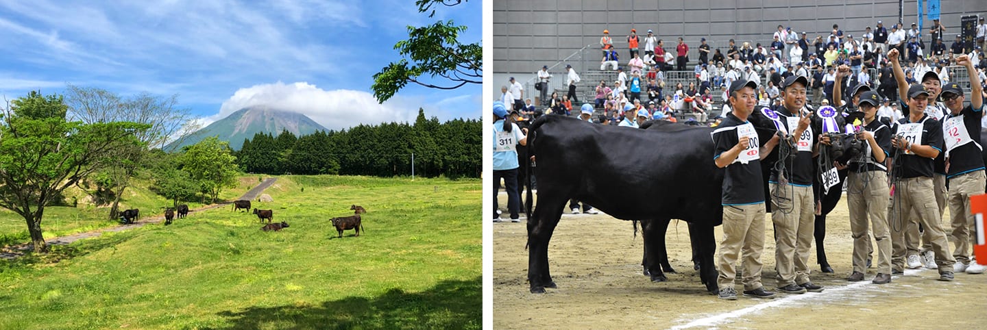 肉質日本一「鳥取和牛」