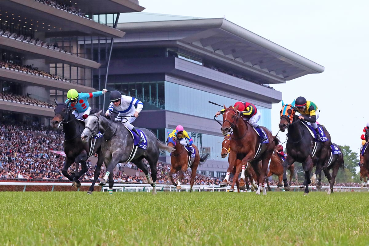 東京競馬場 来賓室競馬観戦宿泊プラン