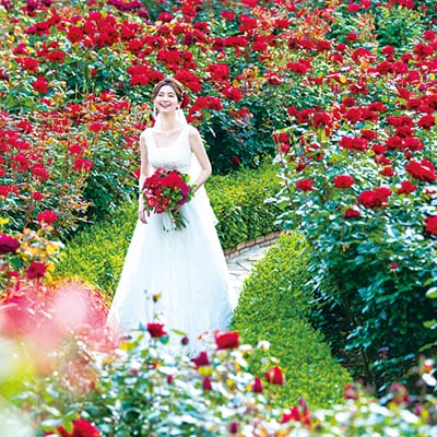 Red Rose Garden Wedding