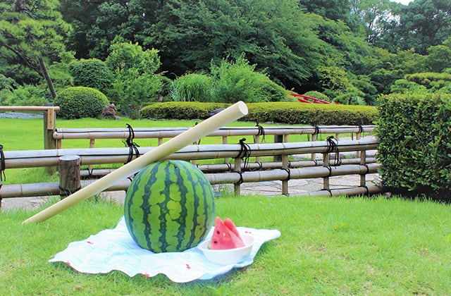 Watermelon Splitting