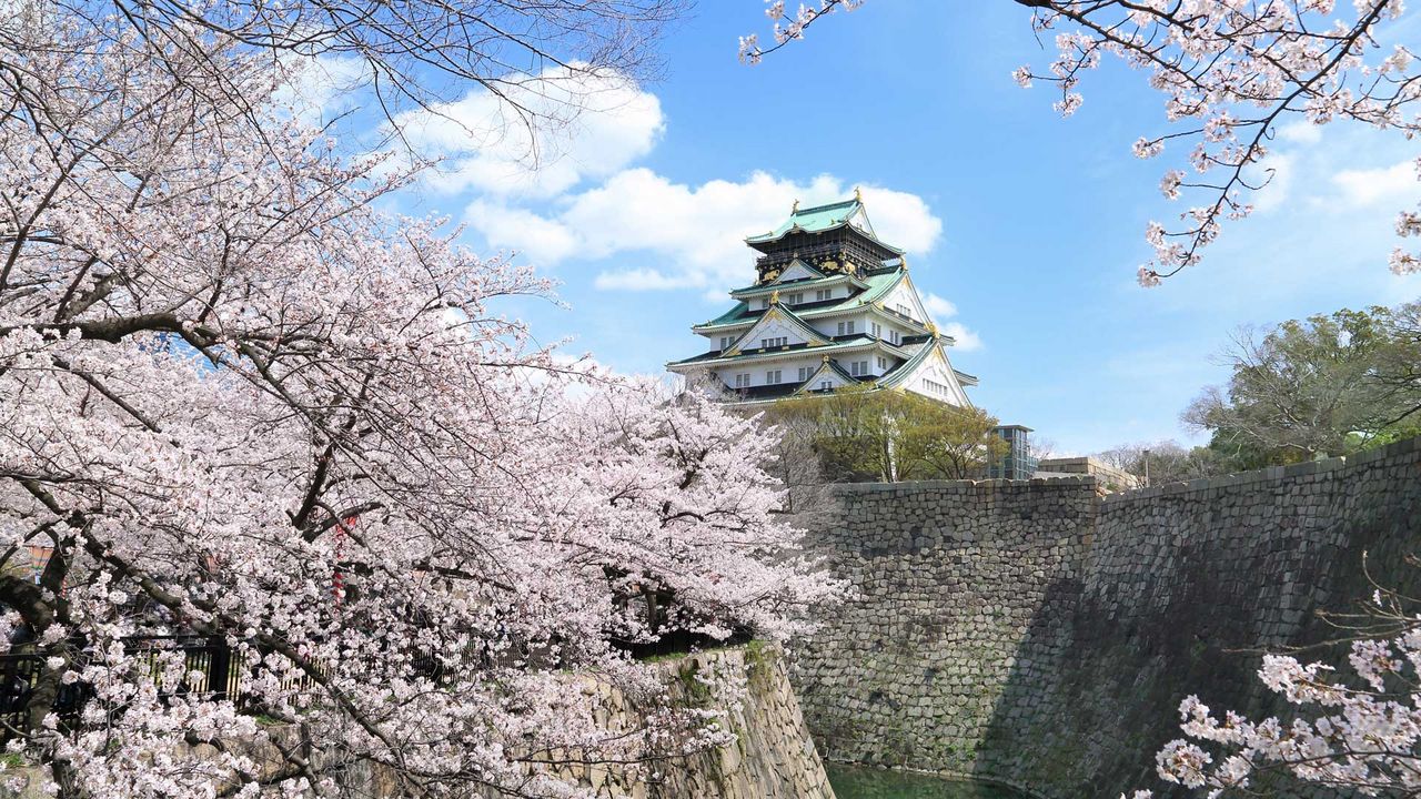 大阪で桜の開花宣言 関西有数の桜景色で 大阪 そして日本を元気に ホテルニューオータニ大阪