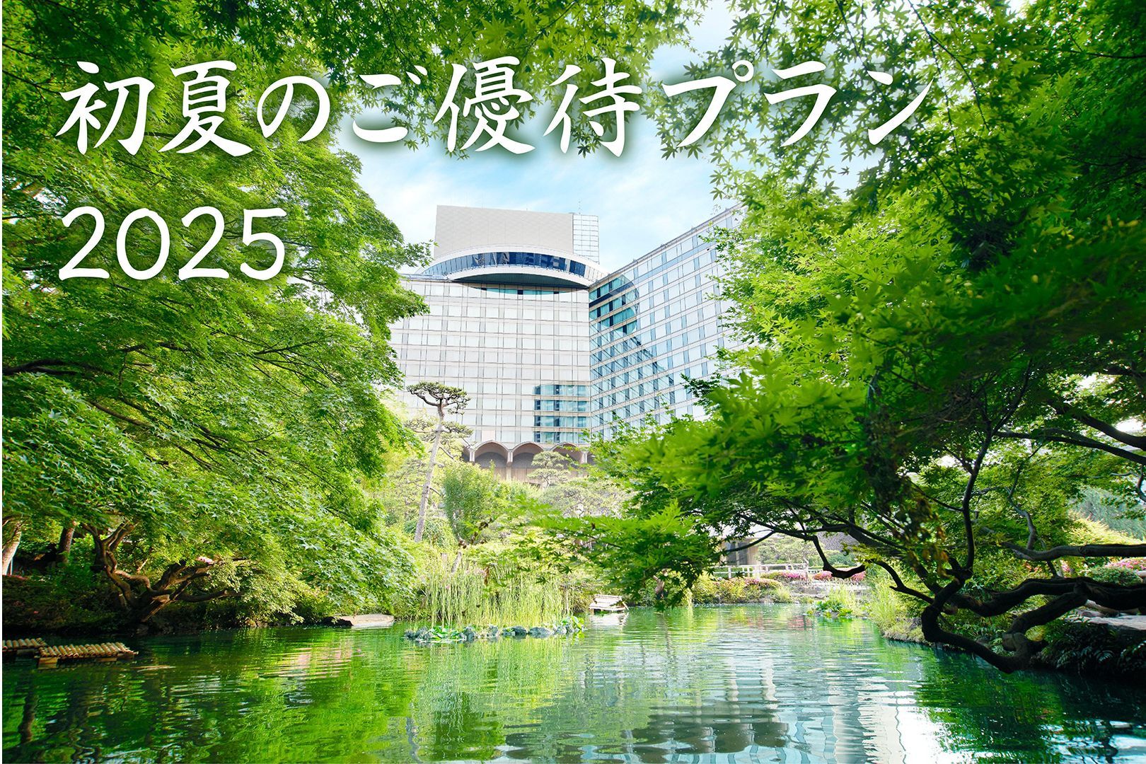 初夏のご優待プラン