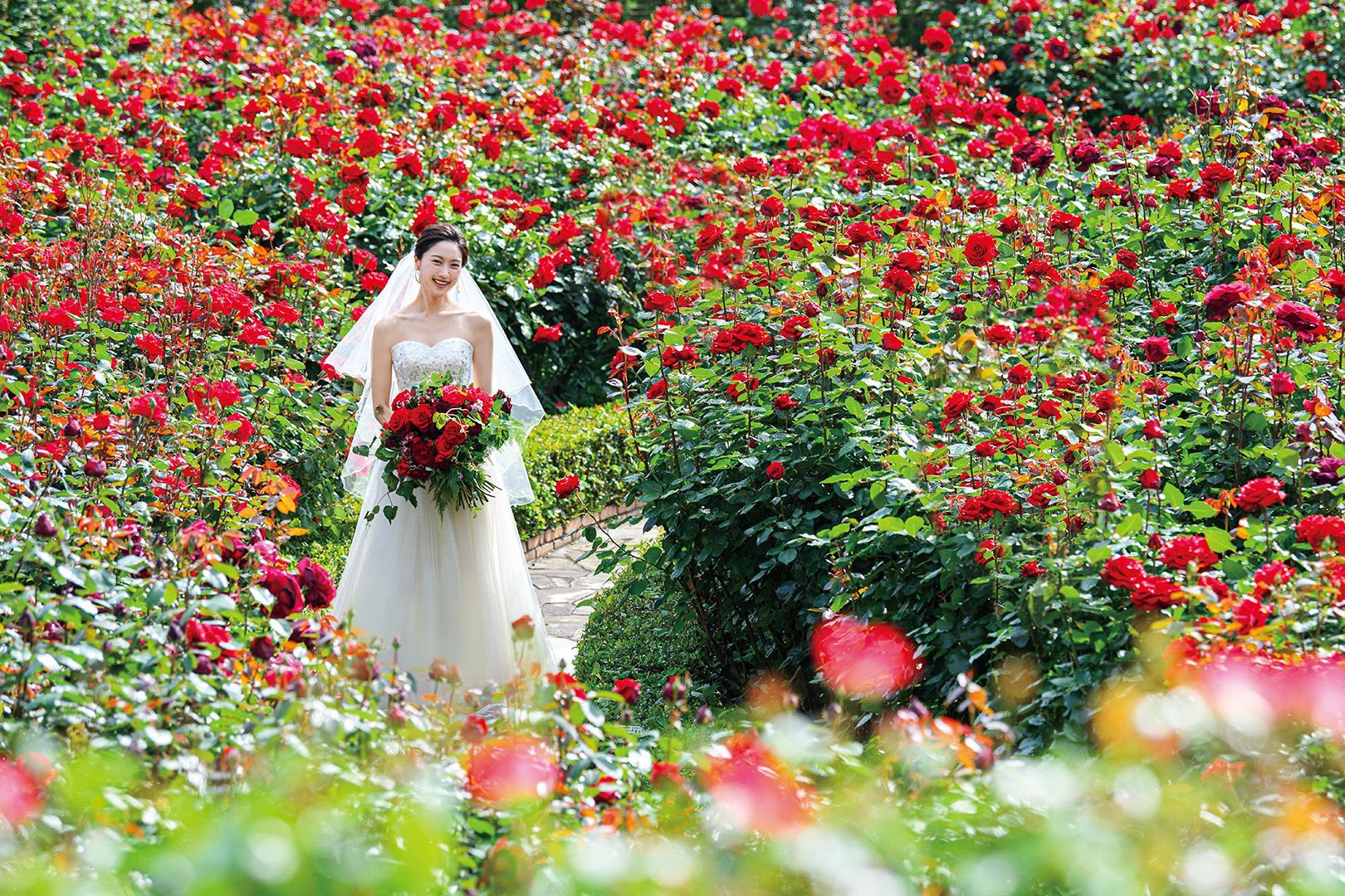 Red Rose Garden（レッドローズガーデン）