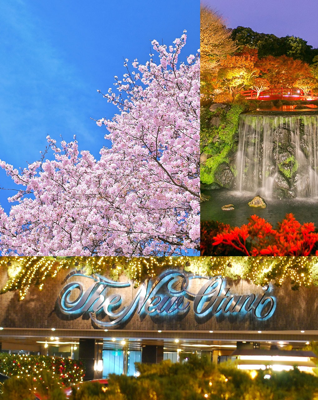 Four Seasons