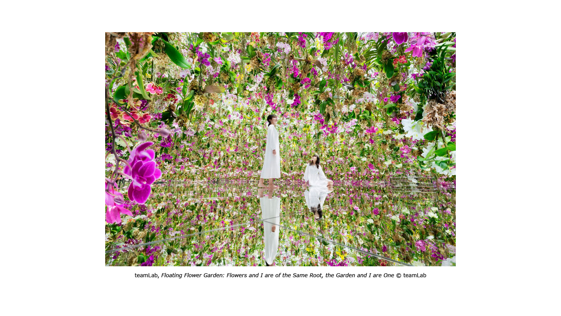 teamLab, Floating Flower Garden: Flowers and I are of the Same Root, the Garden and I are One