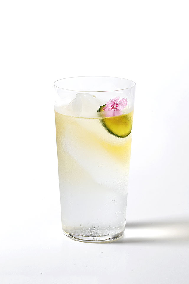 Sober Citrus Tonic