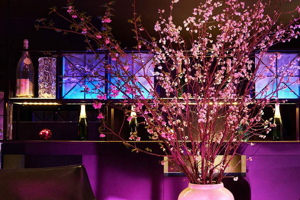 Tokyo "Sakura" Bar