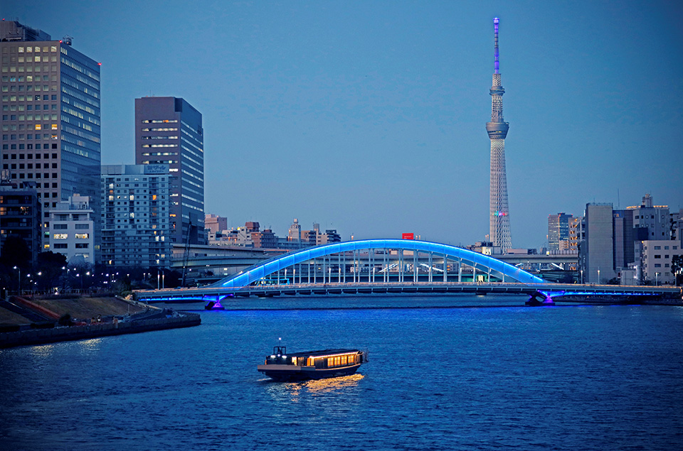 Sunset Sakura Cruise