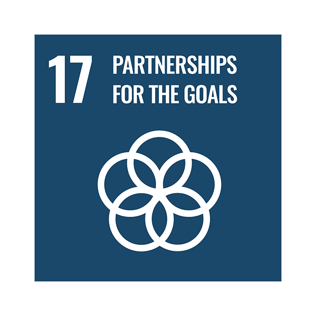 Goal 17: Partnerships