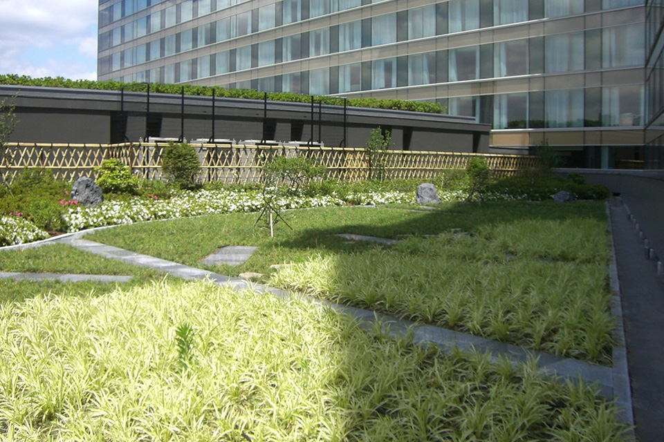 Rooftop Greenery