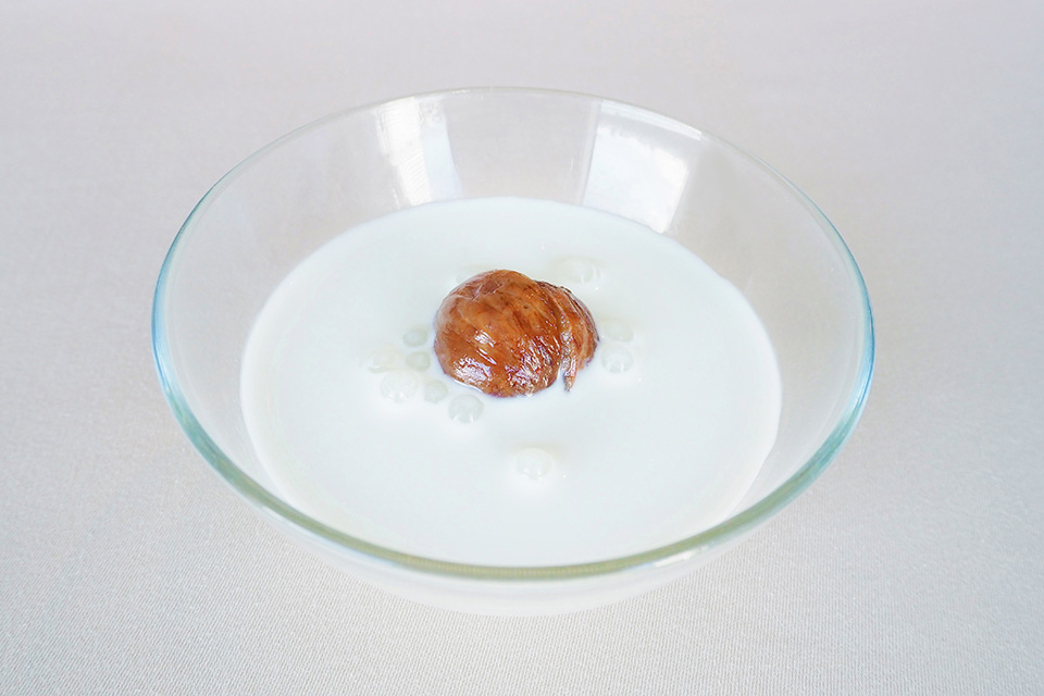 マロンプリン
