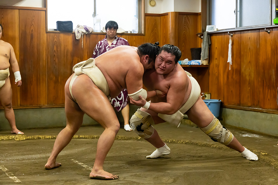 相撲朝稽古見学宿泊プラン内容