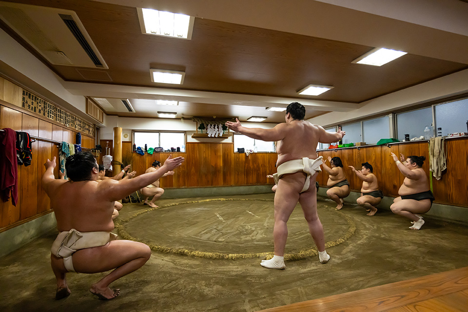 相撲朝稽古見学宿泊プラン内容