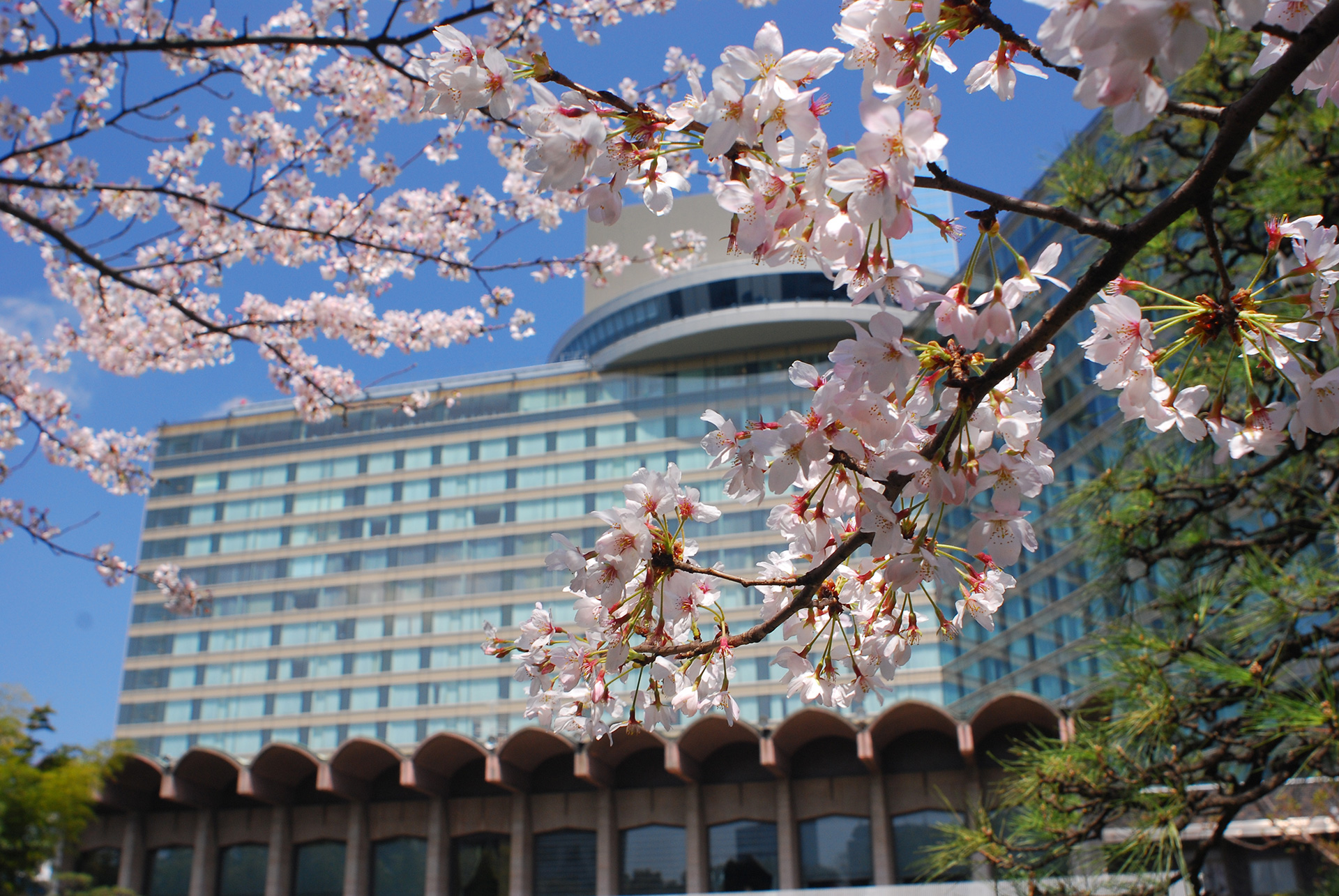 Hotel New Otani Tokyo "The Main" in spring