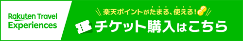 楽天トラベル観光体験