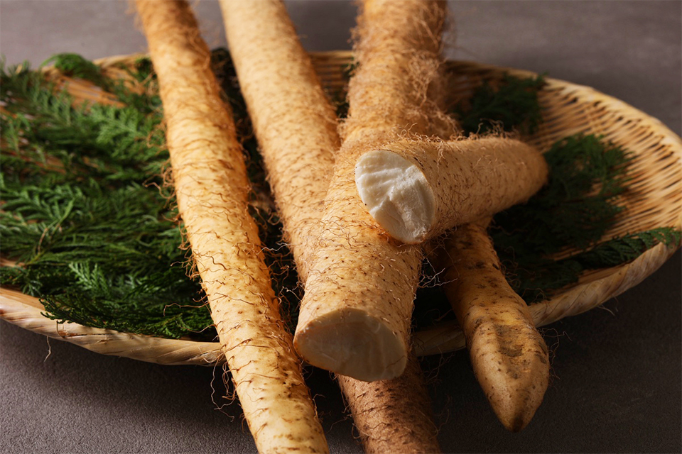 千葉県市原市産 自然薯