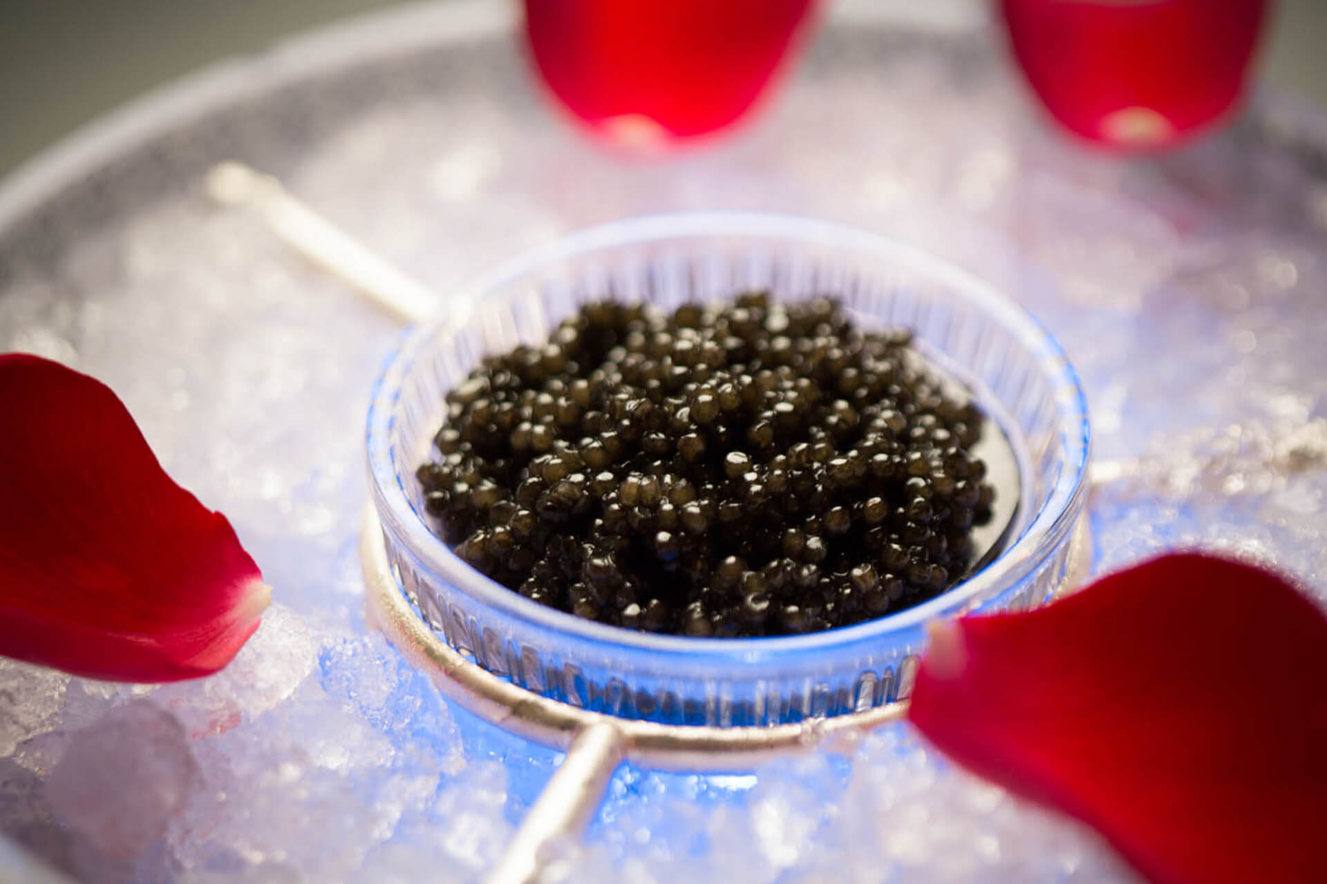 THE CAVIAR/キャビア ~特別な日に、特別な逸品を~ | けやき | ホテルニューオータニ大阪