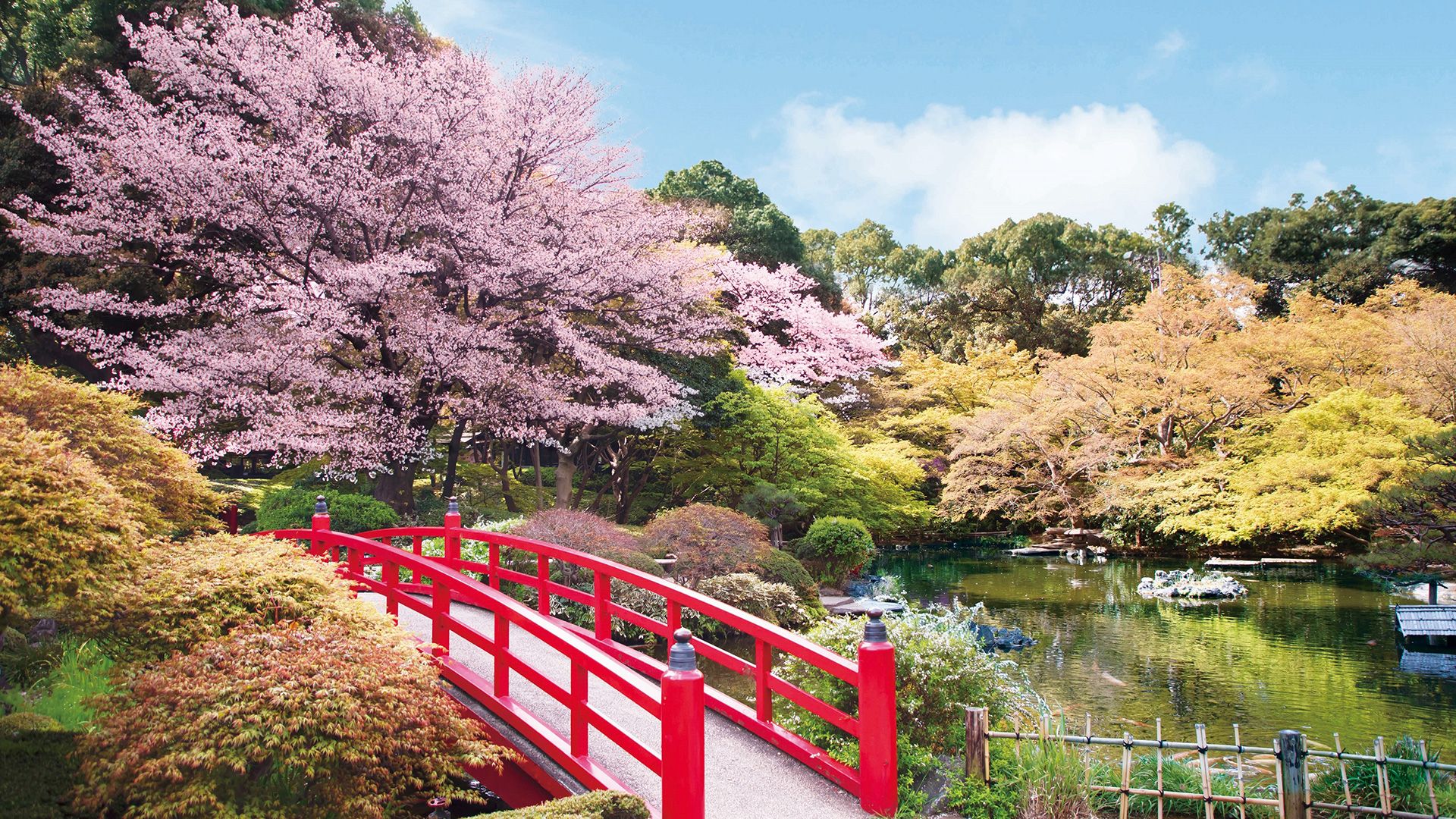 桜めぐり2025 ～Experience Spring at Hotel New Otani Tokyo～