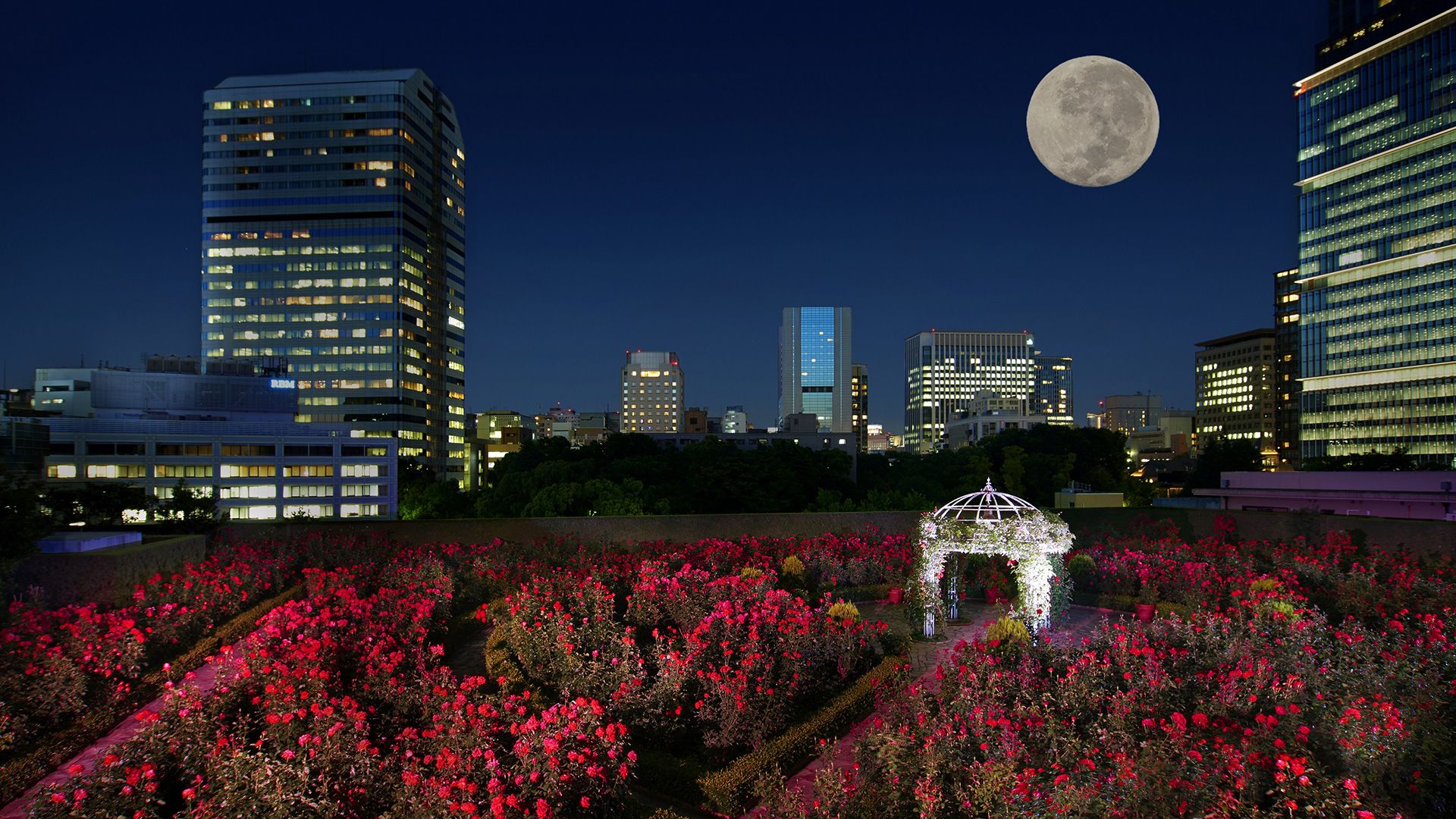 “TSUKIMI” at Red Rose Garden