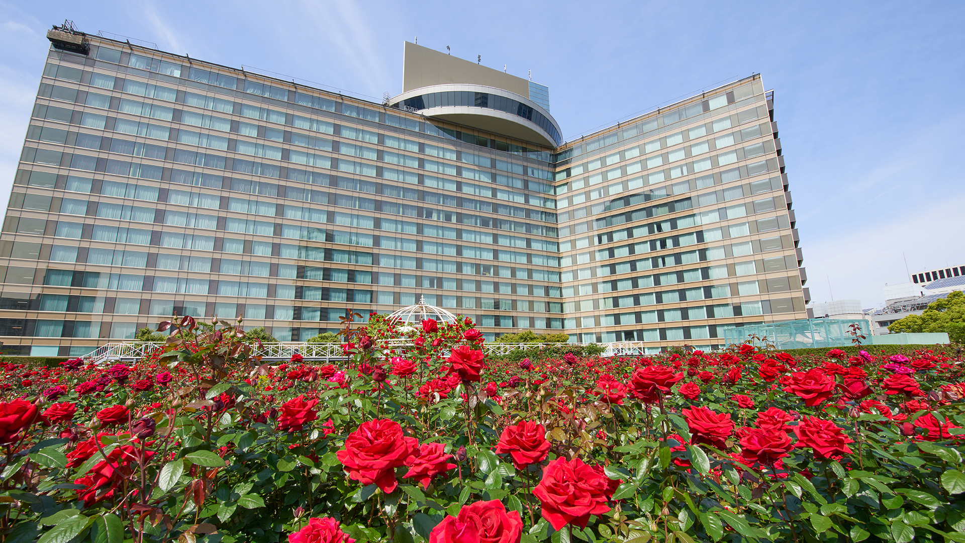 【平日限定】Red Rose Garden入場券付 彩り膳
