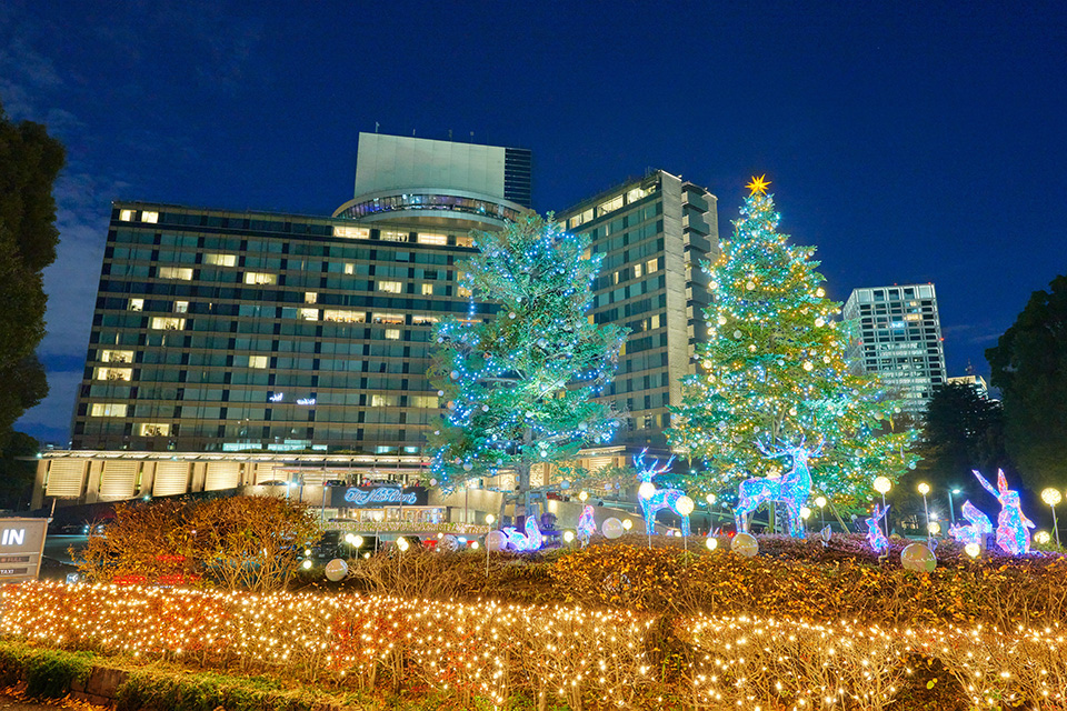 ザ・メイン 正面玄関前 メインツリー