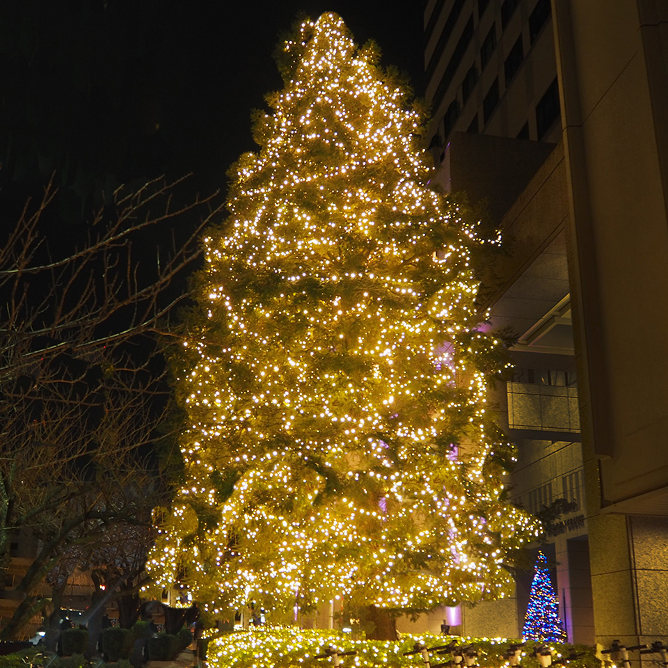 ガーデンコート入口