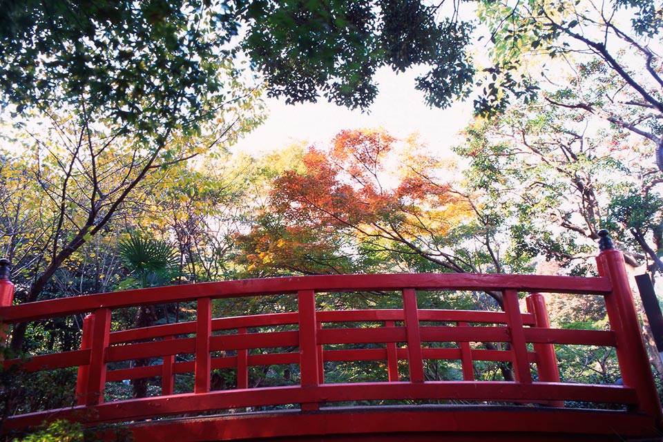 日本庭園の四季 秋　イメージ