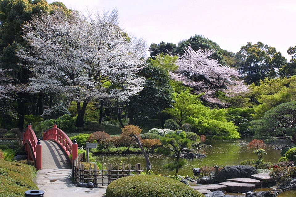 日本庭園 ホテルニューオータニ 東京 公式サイト