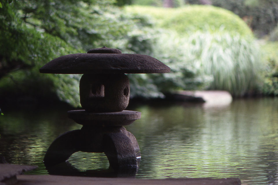 日本庭園の四季 夏　イメージ