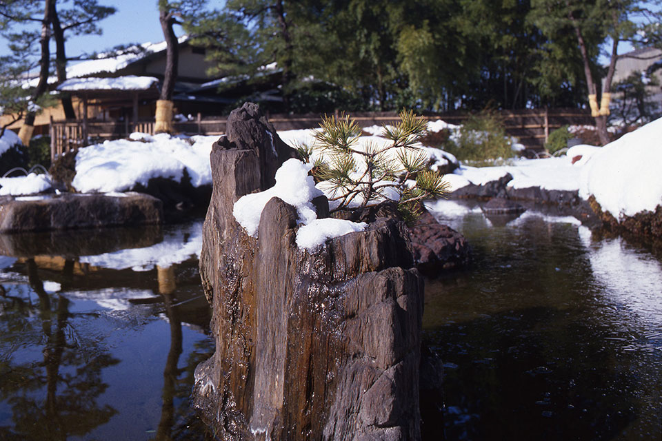 日本庭園の四季 冬　イメージ